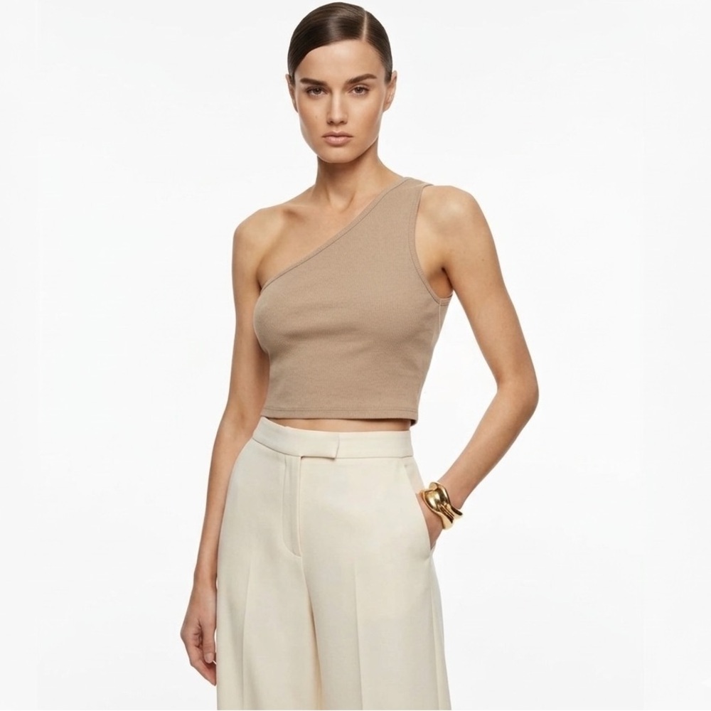 NWT Brown One Shoulder Crop Top Ribbed Nordstrom Size LARGE 4TH + Reckless